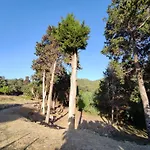House Theofilos דירה Paramonas (Corfu)