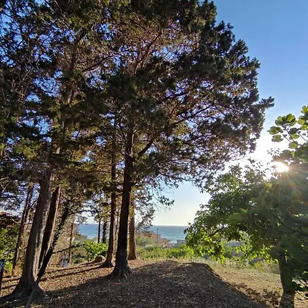 House Theofilos * Paramonas (Corfu)