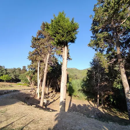 House Theofilos Apartment Paramonas (Corfu)